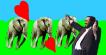 Pavarotti Loves Elephants