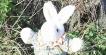 Weaponising a Big-Arsed Bunny