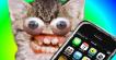 I've Got An iPhone