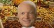 John McCain's Presdential Plan