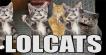 Lolcats