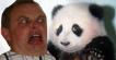 The Trouble With Pandas
