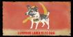 Rocket Dog