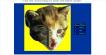 Psycho Techno Hypno Kitten Snake