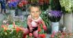 Sumo Florist