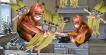 The Wrong Bananas